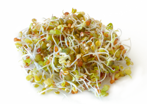 GERMOGLIO-DI-QUINOAsmall Germoglio benefici