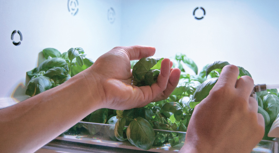 Alimentazione salutare in casa