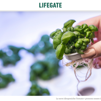 serre idroponiche automatizzate lifegate serre idroponiche automatizzate lifegate